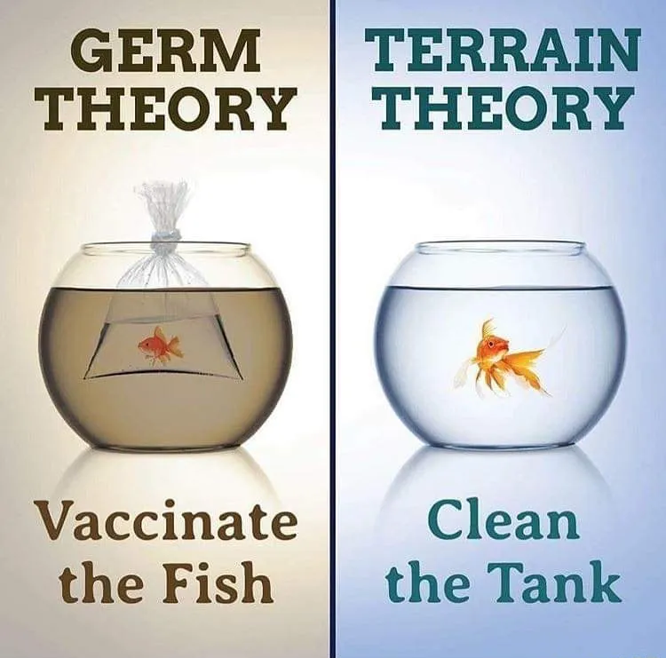 Germ Theory and terrain theory